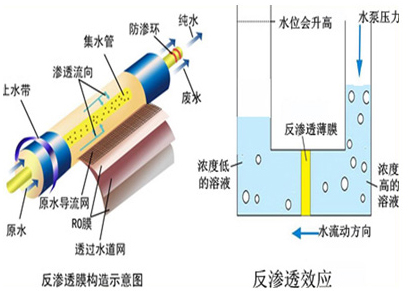 反滲透膜元件解剖圖