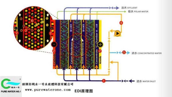 EDI超純水設(shè)備的工作原理2